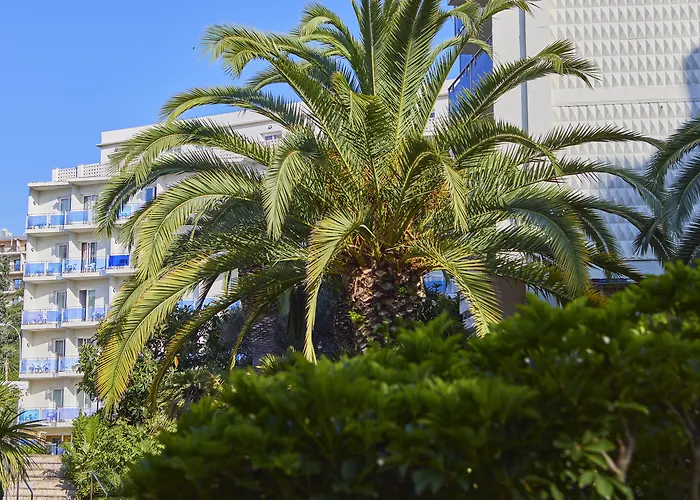 Hotell Ona Don Juan 4*